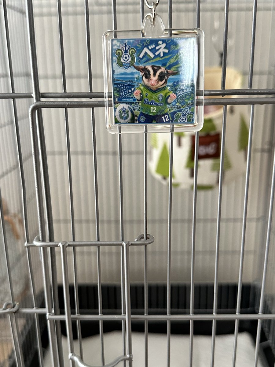 bell_kenken's tweet photo. 表札かんせ〜い🥰🥰💚💙
なんかビックリマンサイズより
ちっさかったけど
これはこれで良き✨🤩✨🔱 https://t.co/MDZnPLTFzc