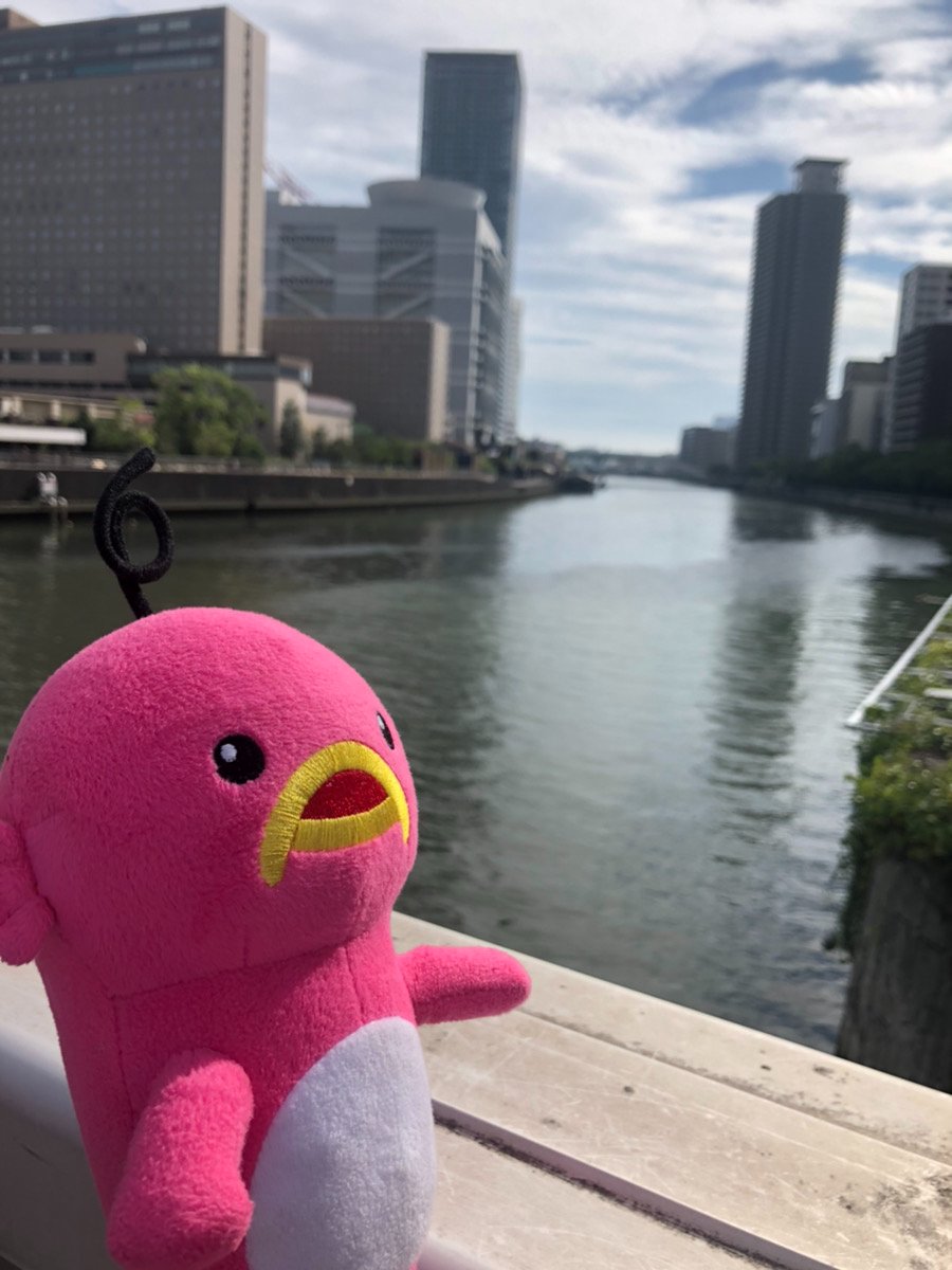 abciee's tweet photo. だいぶ過ごしやすくなったシ～(ε *´艸｀)3

風も心地が良いシ♪

#エビシー #涼しい #風 https://t.co/7irlpsWHG6
