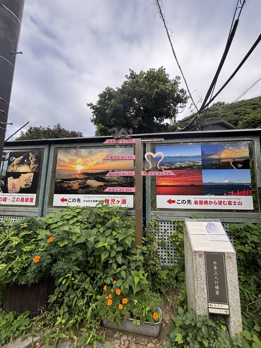 jinpeiokami's tweet photo. 江ノ島確かにここが最短ルートかも https://t.co/O6SJvYWYPI