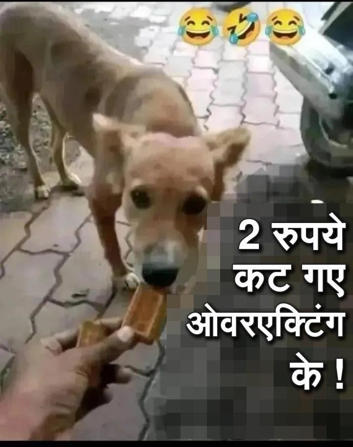 YounisJunid's tweet photo. @news24tvchannel https://t.co/2GiO81bkmb
