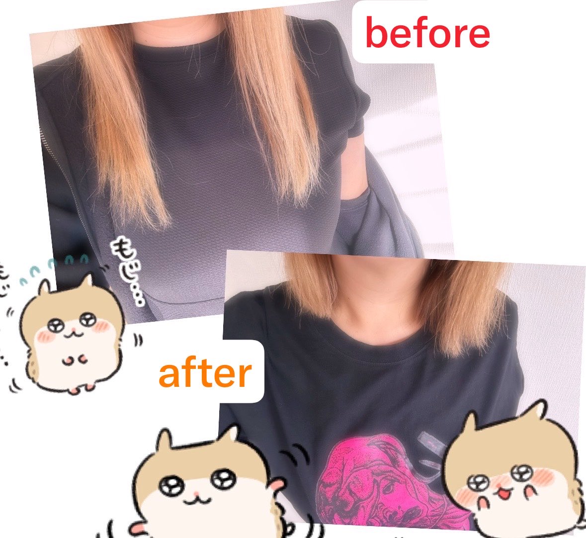 papu4s's tweet photo. ばっさりー！
20cmほどきりました✂️ https://t.co/cgOSCSAQtd