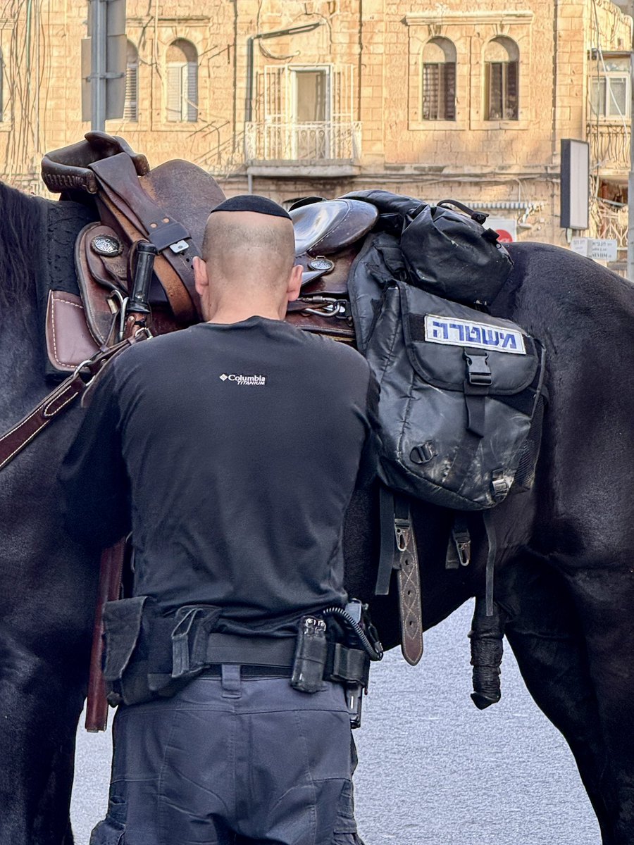 Reporter_Flash's tweet photo. Heute mal nicht bei der Reiterstaffel der @bpol_b, sondern bei 
יחידת פרשים (Jechidat Parschim) der @israelpolice, Jerusalem District https://t.co/lBRBCDAALv