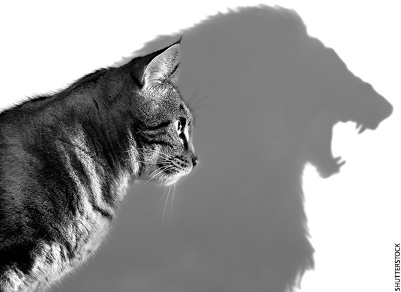 FitnessHacks101's tweet photo. Good morning! Start of another great week, ...and remember 'Nothing holds you back more than your own insecurities'.
#MondayMotivation #StartStrong #MindsetMatters #OvercomeYourFears #BelieveInYourself #FitnessJourney #Wellness #SelfImprovement #Inspiration #FitnessHacks101 https://t.co/yK5RU0Xovl