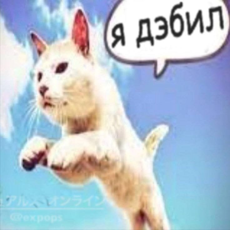 Mmerff1's tweet photo. Да че от меня историчка хочет, я ниче не понимаю https://t.co/nEsyTzWhV3
