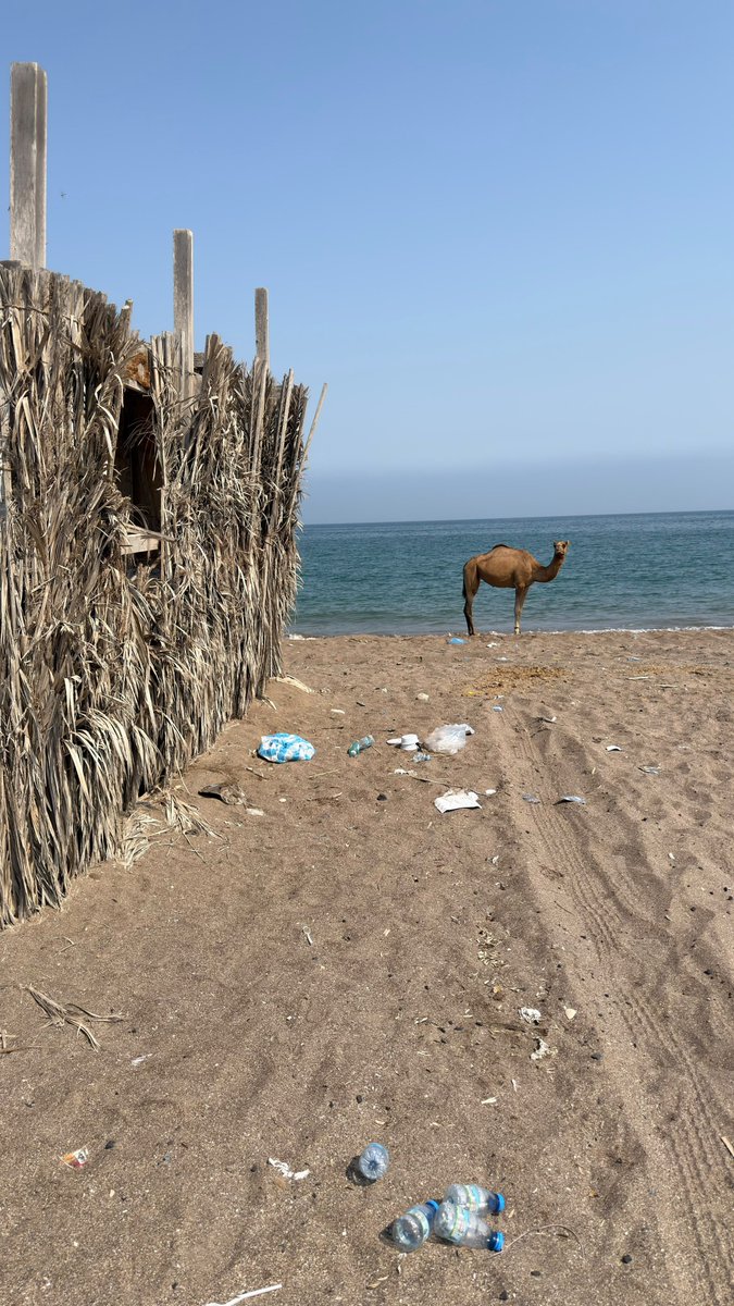 saidissa1's tweet photo. @M_Municipality @SB_Municipality
بلدية بركاء، إلى متى سيبقى شاطئ حي عاصم بدون عمال نظافة؟ نرجو منكم التكرم بالتدخل وتوفير عمال النظافة للمحافظة على نظافة الشاطئ ومظهره. https://t.co/YcskRYx0Ph