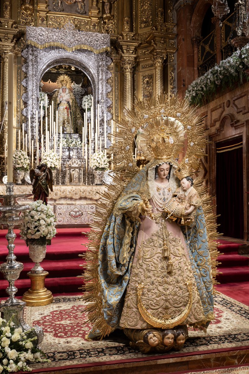 Hdad_Macarena's tweet photo. 🔴 BESAMANOS | Comienzan los cultos en honor a Nuestra Señora del Santo Rosario. Desde hoy, 5 de octubre, y durante los próximos tres día, nuestra Amantísima Titular permanecerá expuesta en Devoto Besamanos, en horario de forma continuada desde las 9:00 hasta las 21:00 horas, siendo tan solo interrumpido por la celebración de las eucaristías. 

La Santísima Virgen luce manto celeste de tisú y saya rosa salmón, ambos del taller de José Guillermo Carrasquilla Perea, junto a la ráfaga, corona, media luna y cetro de Manuel Seco Velasco, restaurados para la ocasión por Orfebrería Fernando Marmolejo.

El altar se completa con cuatro blandones de plata de la Basílica Menor de Nuestra Señora del Carmen Coronada de Jerez de la Frontera; los ángeles pasionistas con rosarios donados por hermanos y devotos; las clásicas credencias de Fernando Marmolejo Camargo; respiraderos de plata de Eduardo Seco Imberg, cedidos por la Hermandad Sacramental de las Nieves de Los Palacios y Villafranca; y jarras de plata procedentes del paso de palio de Nuestra Señora de la Esperanza, sobre columnas abalaustradas del siglo XIX de la Hermandad del Rocío de Triana.

El conjunto se completa con un cuidado exorno floral de rosas champán, lisianthus, nardos y clavellinas.

Nuestra Señora del Santo Rosario, ruega por nosotros.

📸 @Randofer94 / @PMFotoscofrades