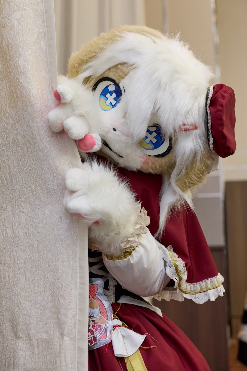sakura_craw's tweet photo. イオハくんちゃを撮らせてもらいました

#しがもふEX https://t.co/gX282B2A6c