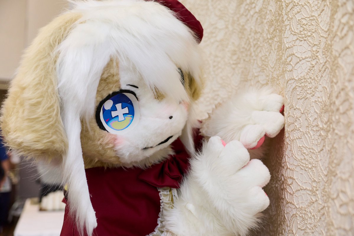sakura_craw's tweet photo. イオハくんちゃを撮らせてもらいました

#しがもふEX https://t.co/gX282B2A6c