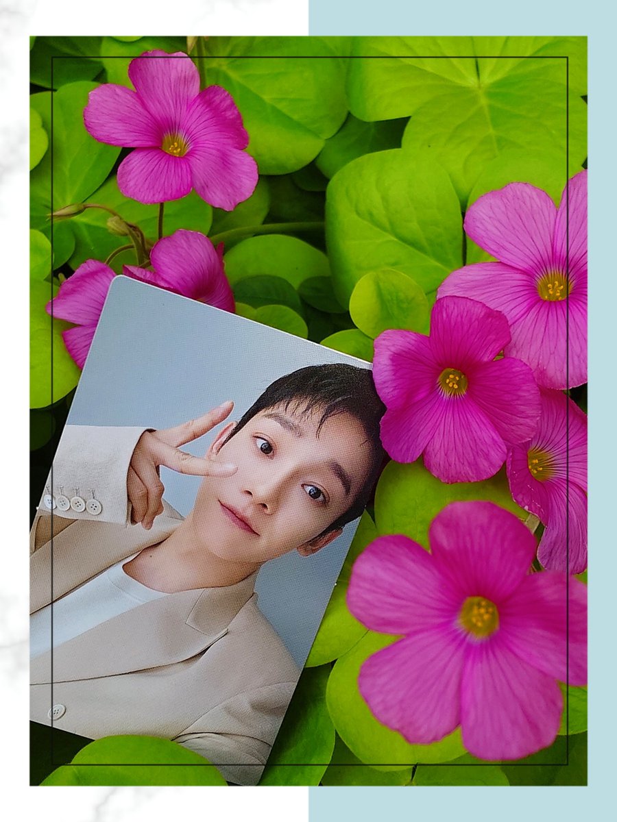 EXO_JD_0921's tweet photo. 毎週月曜日の楽しみだった
隊長からの元気が出るメッセージ🫧
これまでにもらった多くの幸せを
今度はこちらからお返しできるように
ささ��かだけど
隊長が元気になれるメッセージを
たくさん送ってあげられたらいいな☺️
#CHEN #첸 #JONGDAE #김종대 https://t.co/1fDH0BAp6F