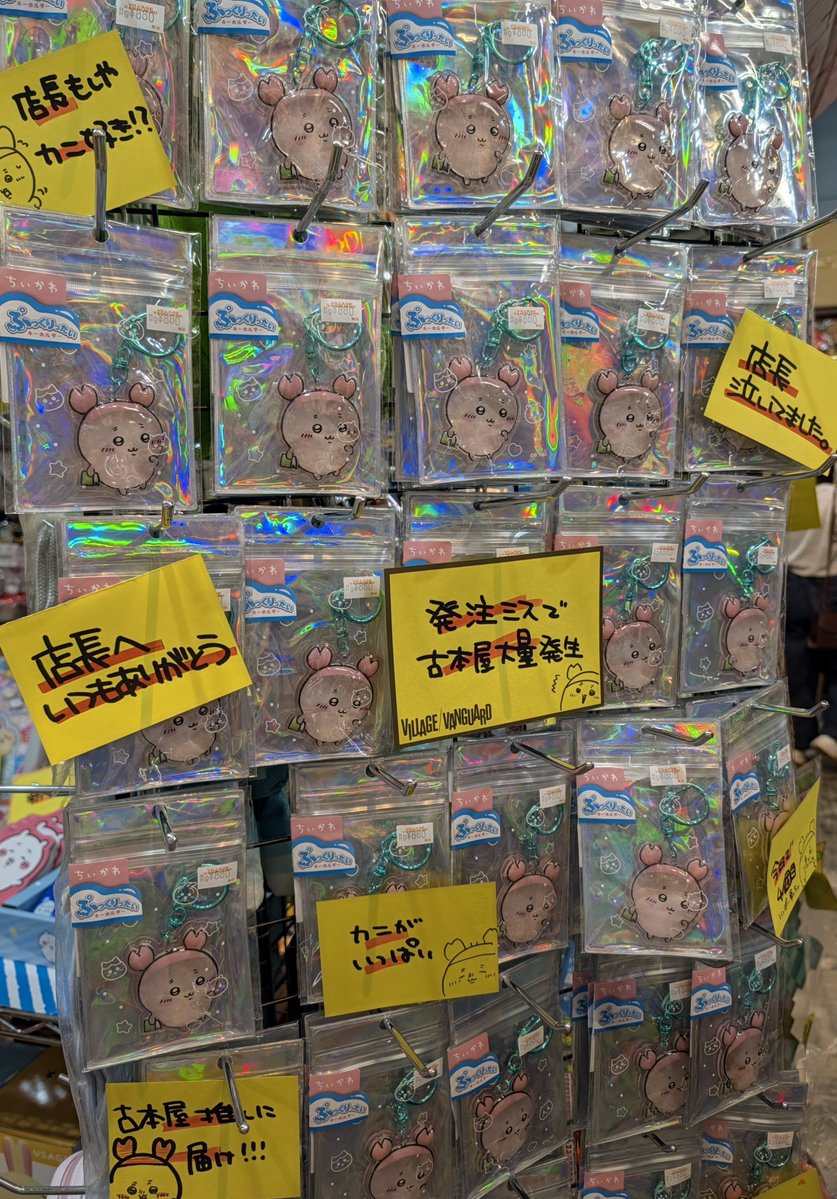 waka_'s tweet photo. ヴィレヴァン入ったらあり得ない量の古本屋いて神 https://t.co/uszvtjJxSz