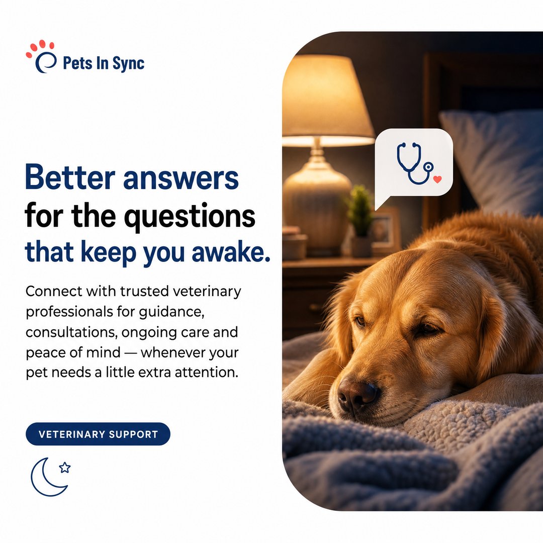 Petsinsync tweet picture
