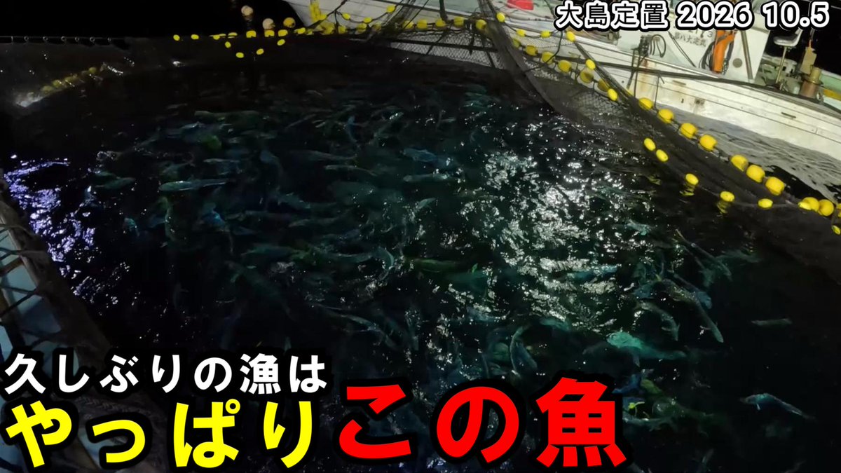 yaoti0040's tweet photo. https://t.co/2HAhyYJP9w
本日の漁の動画も17時公開です
海中映像もあります
時化と市場の休みで久しぶりの漁はやっぱりあの魚でした

少しでもおもしろいと思ってくれたら チャンネル登録、高評価おねがいします

#漁師
#定置網
#若狭 https://t.co/LrTKtPlEwg