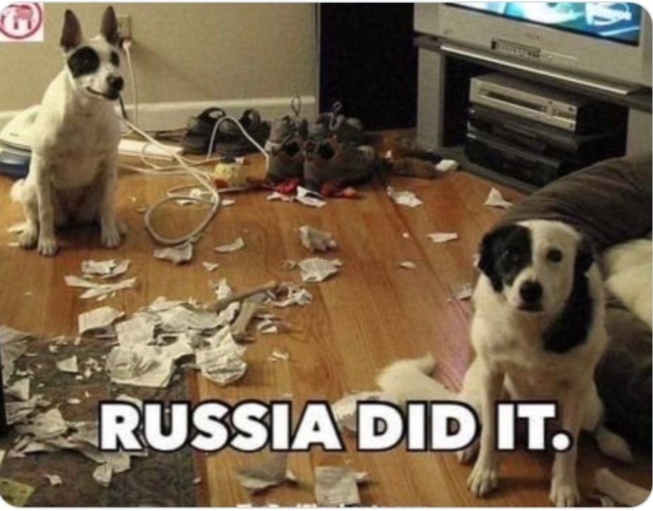 mnsmirnova's tweet photo. @SprinterPress https://t.co/mdpDByqXJ3