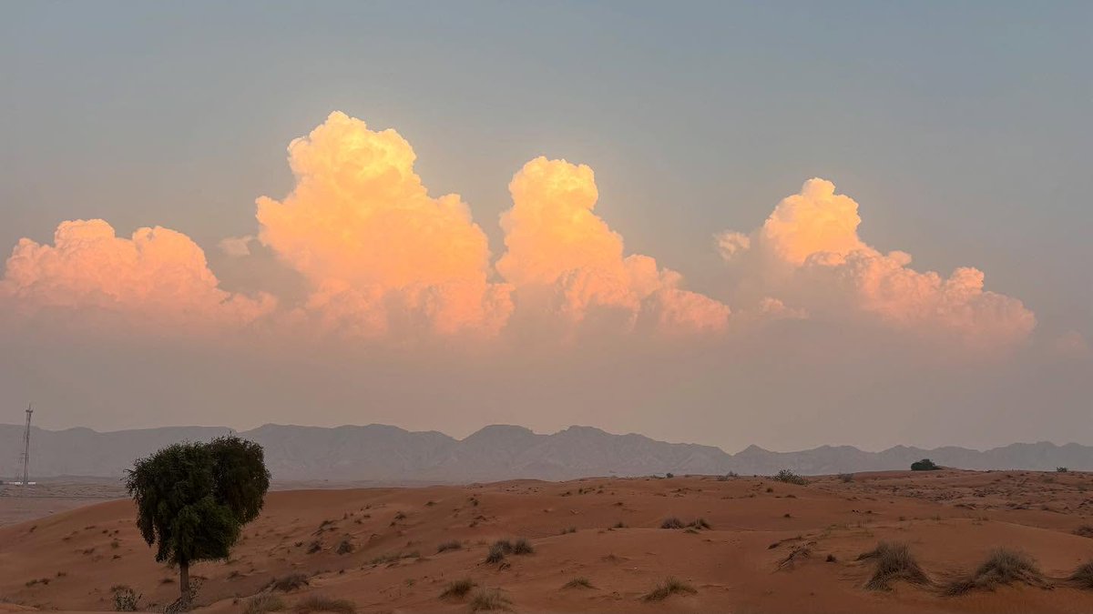 EliGovaz's tweet photo. Back to the desert. https://t.co/f5vT4jCk2X