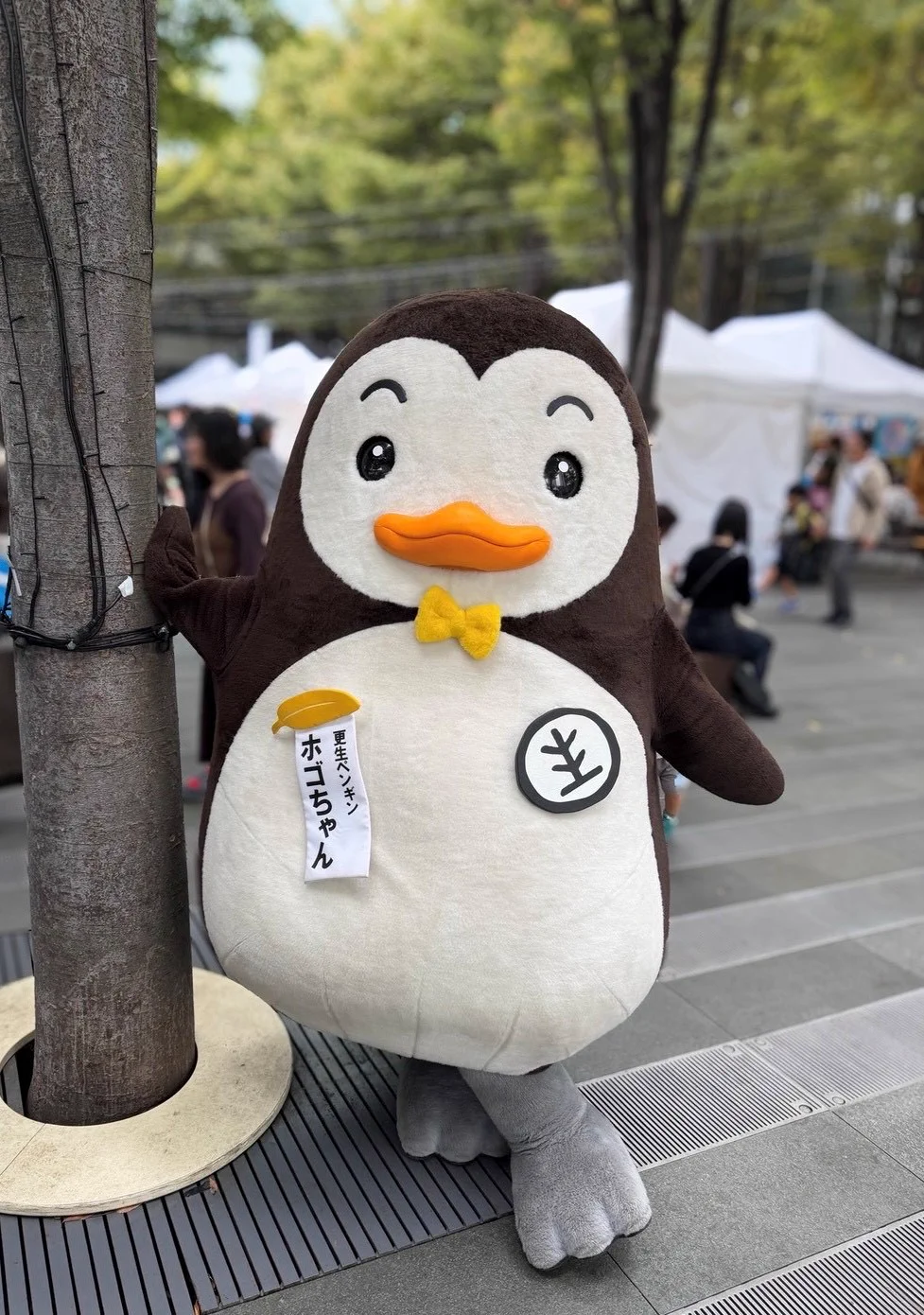 法務省保護局 on X: 