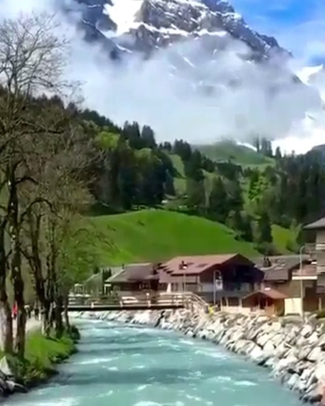 timoth2MbJemERL's tweet photo. The undeniable charm and character found in Travel Today proves that it gently demonstrates that personal growth blossoms. https://t.co/msZQJsPn7U