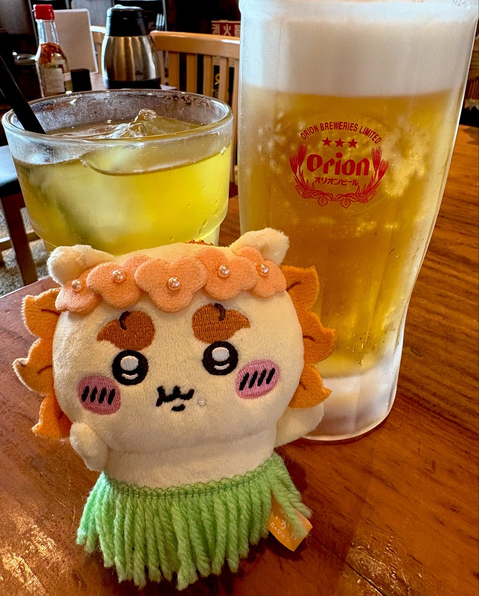 osunaba__'s tweet photo. さんぴん茶とオリオンビール https://t.co/sNSJsOux9s