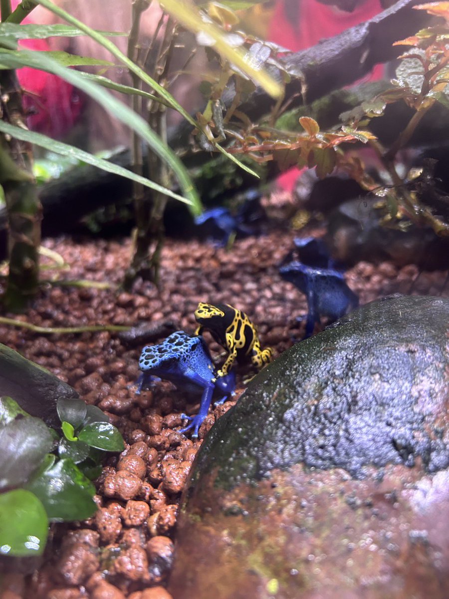 annaranzuma's tweet photo. 伝えたいことほど伝わりにくいものだし
大切なことほどネガティブ思考なる
そんな日もある〜￼￼￼￼￼👻👻👻👻👻👻
⚠️写真閲覧注意笑笑 https://t.co/GZcShabfpP