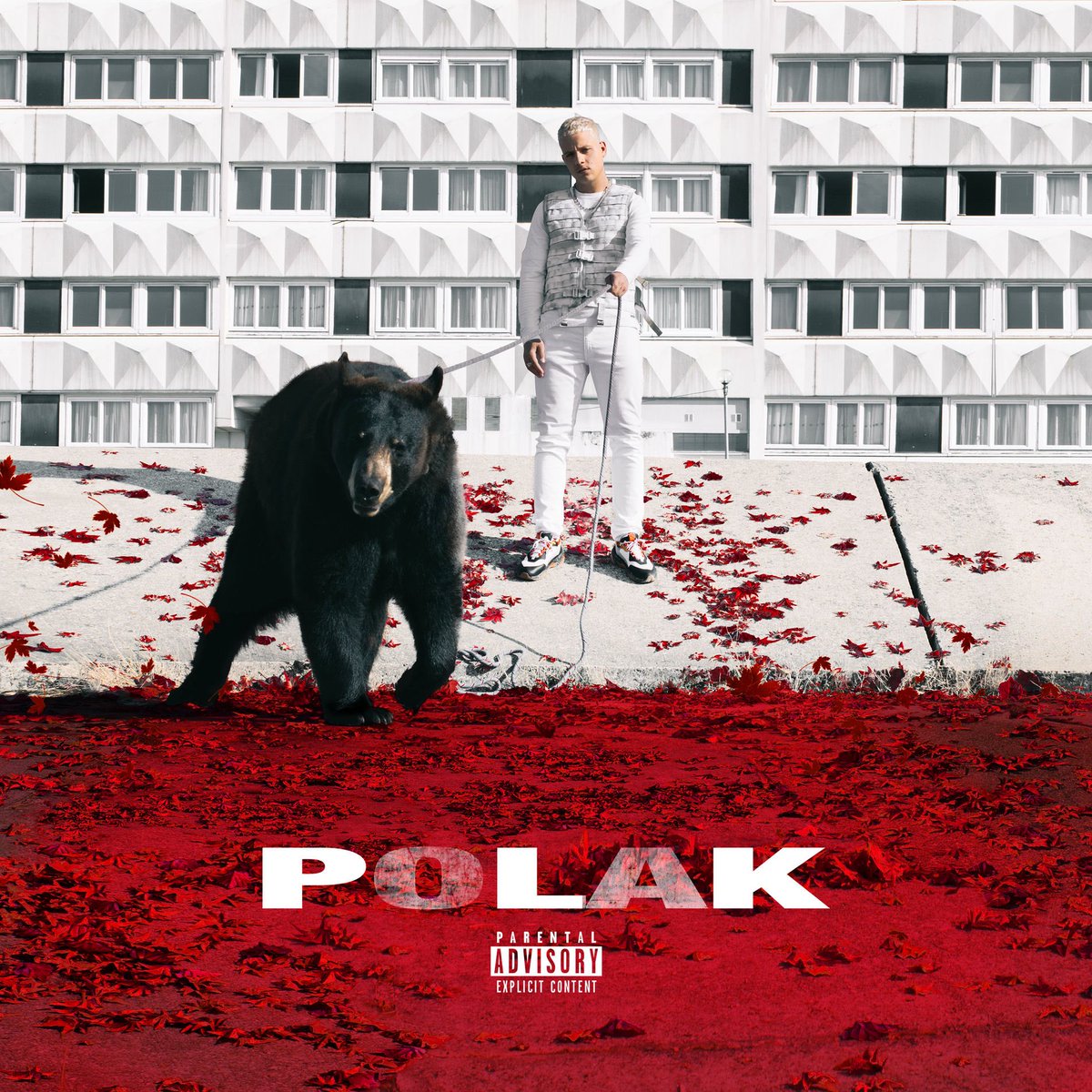 saalance's tweet photo. L’album « Polak » de PLK sortait il y a 8 ans jour pour jour 🎂

Certifié Triple Disque de Platine 💿💿💿
> 12 727 ventes en PS 📊

Top 3 Spotify (version initiale) :
🥇 - Monégasque (75M) 💎
🥈 - Idiote (32M) 💿
🥉 - Hier (ft. SCH) (32M) 💿 https://t.co/NQL18XI2Mp