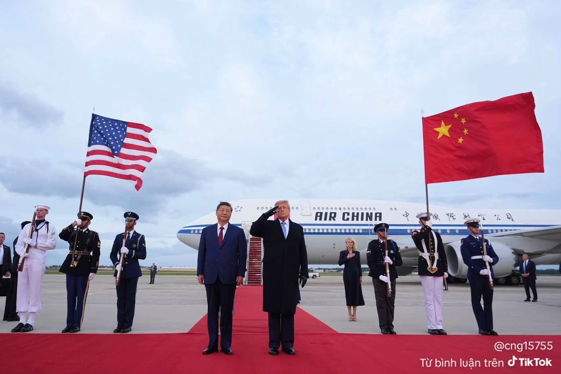CuongH98's tweet photo. @meomeoo1206 bố trump chúng mày còn phải ra tận máy bay trãi thảm mà chúng mầy là lũ dòi bọ ăn bám vong nô có quyền gì lên tiếng?🤣 lúc bố trump chúng mày đón tập sao ko lấy giẻ lau 3 sọc ra quơ quơ đả đảo nhỉ?🤣 đờ mờ bọn giẻ lau 3/ chỉ dám cắn bẩn https://t.co/SVFf5C4z2j