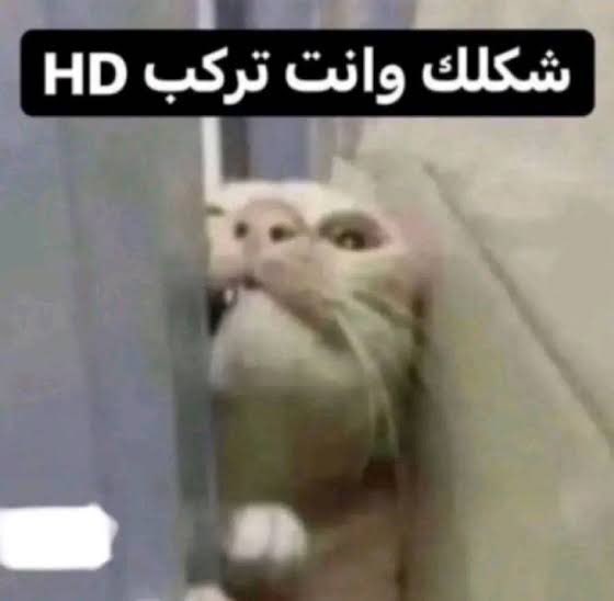 N_AFC8's tweet photo. هانت كلها اربع ايام فقط https://t.co/gKBOH55Ujt