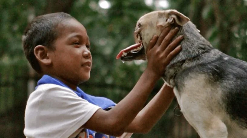 Rainmaker1973's tweet photo. This is Kabang, the heroic dog from the Philippines who saved two young girls from an oncoming motorcycle by jumping in front of it in 2011, sacrificing her own safety to protect them. 

The accident severely injured her, losing her upper jaw and nose, but still managed to live for 10 more years.