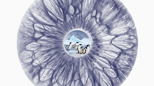 KnowledgeZoneIn's tweet photo. #Penguins Are Literally #Crapping Out #ClimateResilience : Medium
‘#Timer’ in the #Brain tracks #Sleep — and predicts #Awakening ($) : Nature
Why full-fledged #Quantum #Computers might always be five years away : New Sci
Latest #KnowledgeLinks
https://t.co/YF8HJ57hXq https://t.co/zW8L7slSAS