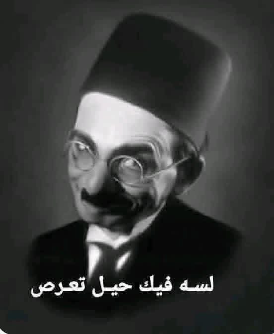 SayedAl83385752's tweet photo. @NNaeem293 https://t.co/5H2Tt5kTLL