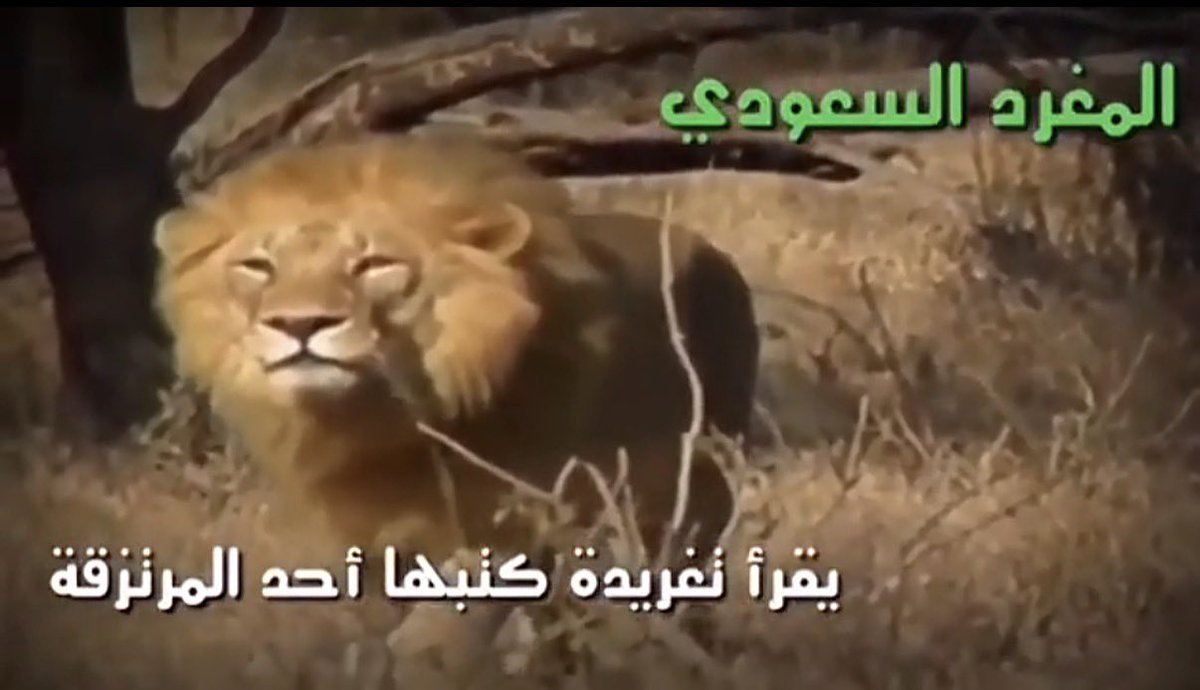 Absurdity999's tweet photo. #بلا_نقاب_٢٠٣٠ #٢٠٣٠_بلا_نقاب4 #٢٠٣٠_بلا_نقاب اهلكتنا https://t.co/RO4x7XWYFN
