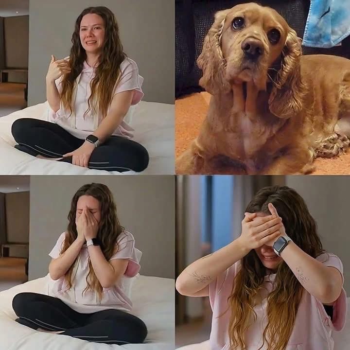 Indie5051's tweet photo. Joy: "Yo estaba viviendo por 2 años en un territorio donde solo se me daban ordenes... lo único que me mantenía sana mentalmente era mi perrita pretzel y era porque tenía que levantarme a sacarla al baño y darle de comer, ya tenía planeado como escapar de mi casa y me iba a mo*rir en el intento pero me iba a escapar, empaque mis cosas y me abren la puerta, y me dijo mi papá: "tengo que hablar contigo" y de la manera que me miro ya sabía que el sabía que me iría y me dice "a donde te vas a ir?" y le dije que con una amiga y me grito "NO TE VAS" y le dije no, no te estoy preguntando te estoy avisando... Pero al momento de irme yo iba a agarrar a mi perrita y me dice: "NO, ELLA SE QUEDA CONMIGO" y ha sido una de las decisiones que hasta la fecha no puedo con el dolor porque siento que me escape y la abandone a ella y al poco tiempo se mu*rió..."

Jesse & Joy “Lo que nunca dije” 2025