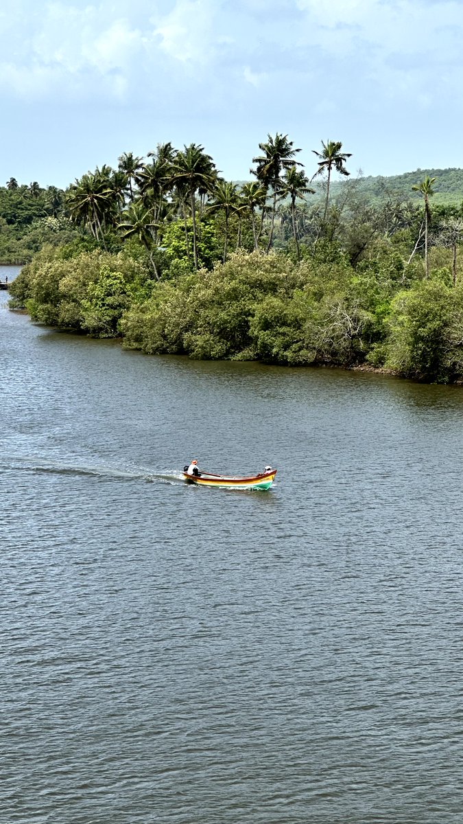 prettyderanged's tweet photo. Konkan🍃 https://t.co/jF4lVI7Clx