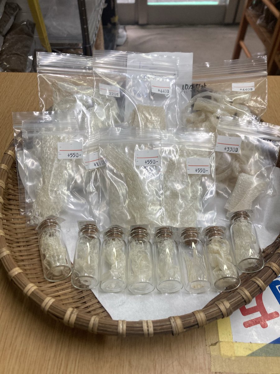 dexinasu's tweet photo. 【金運上昇⤴️】
コーンスネイクアルビノ
蛇の皮販売中です。
お財布、鞄、金庫に忍ばせてください。
きっと良いことあります。
よろしくお願いします🎵 https://t.co/WRaoYAExWc