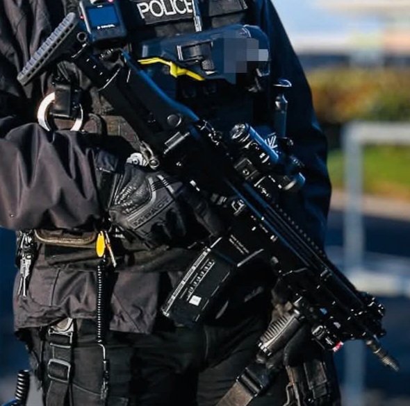 hadalanolantis's tweet photo. HkのFacebookより
【イギリスのジャージー島で警察用カービン銃として使用されているHK433の比較的新しい写真】

HK433ってイギリスの警察でも採用されていたのか！Σ（￣□￣;）

#HK
#HK433 https://t.co/HynagUaXbF