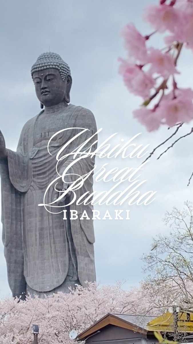 sadeencullen's tweet photo. 牛久大仏｜Ushiku Great Buddha 
まるで大仏様が咲かせた、桜の絨毯のようだった。 https://t.co/NQCTPJQhG0