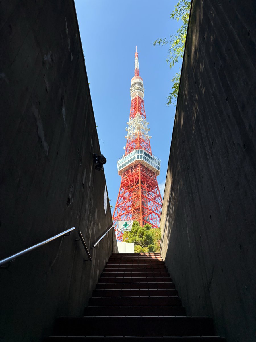 raylenetang's tweet photo. 東京、東京タワー。 https://t.co/ARBqVhChOw