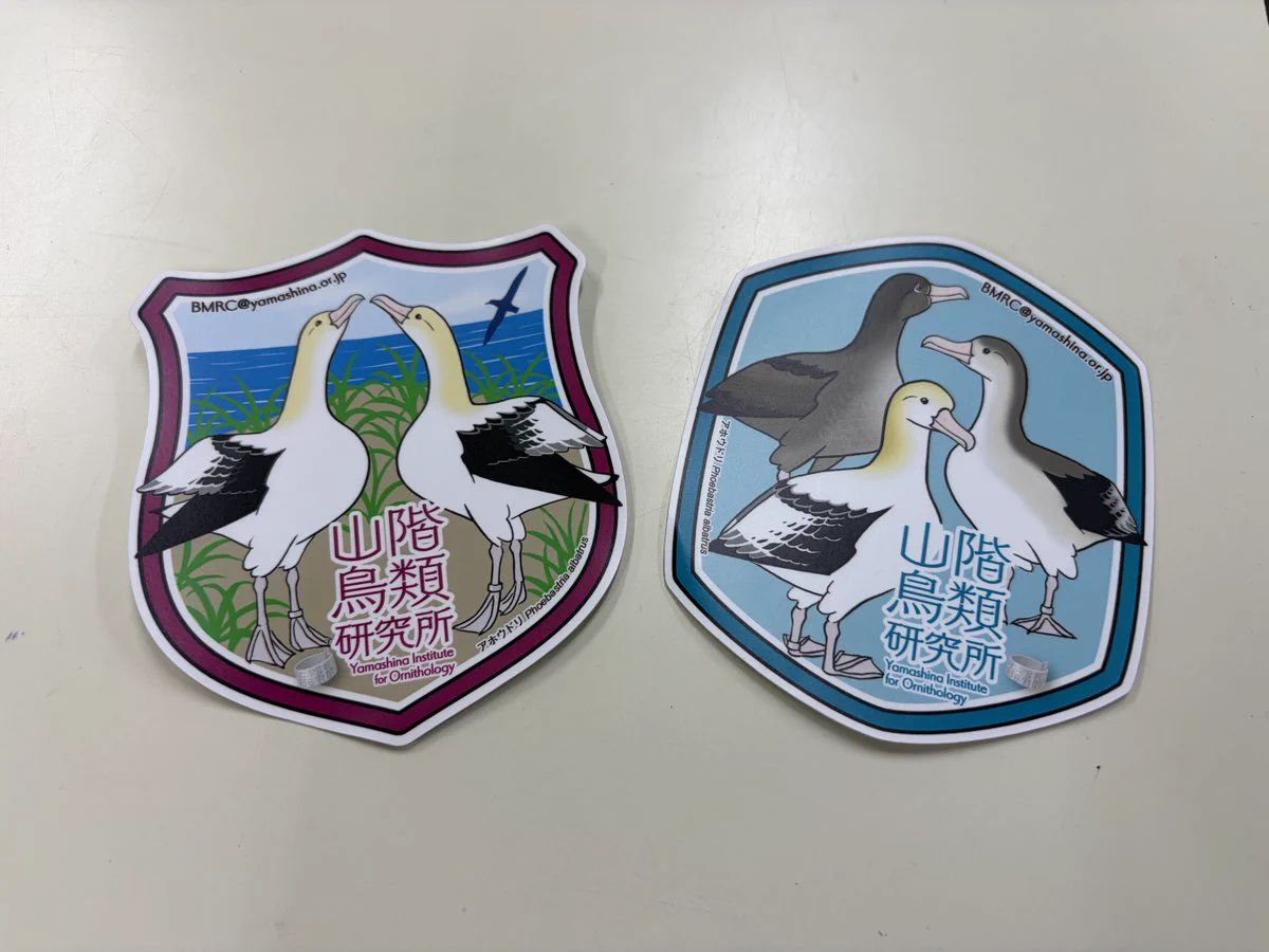 阿呆鳥様、専用ページ 山階鳥類研究所 YIO on X: 