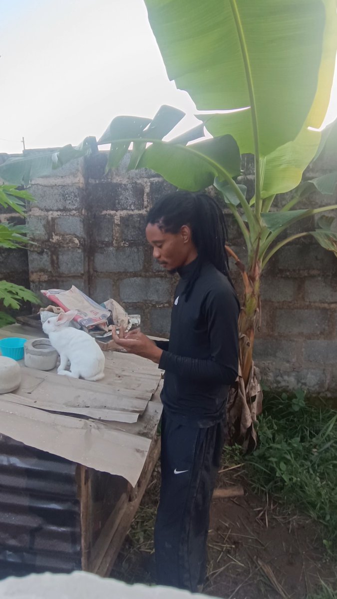 A young man with dreadlocks in black athletic wear stands in an outdoor area with a banana tree, interacting with a white cat sitting on a wooden surface.