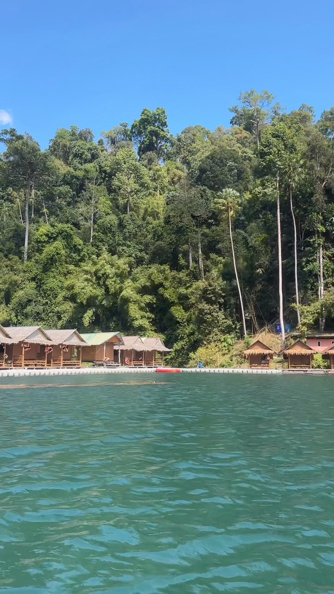 rebecagallucci's tweet photo. Immersion à Khao Sok, la plus ancienne forêt tropicale de Thaïlande. Entre lac Cheow Lan, grotte, bungalow flottant et safari jungle, une expérience inoubliable hors de notre zone de confort. Commente « Khao Sok » pour le contact. https://t.co/gD2Xjd3F5U