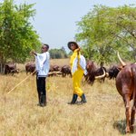 Photo by Emburara Farm Lodge (@emburara)