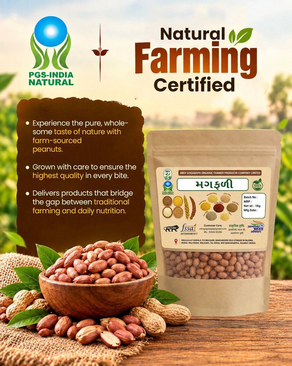 EastKvk's tweet photo. Go Natural 🌿
MkV Gogabapa Organic Farmer Producer Co Ltd., #Banas Kantha #Gujarat #FPO, with 770 farmer members, cultivates peanut using bio-inputs through natural farming practices.
#icar
#atari_zonevii
#cauimphal
#SHS2026
#SwachhtaHiSeva2026
@SwachhBharat
@SwachhBharatGov https://t.co/1aRziROXsY