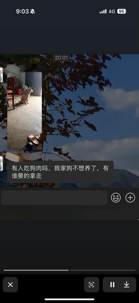 satoimo95328's tweet photo. 养狗人看不得这些

狗子还在给他看门

主人就已经筹划着要卖狗肉了 https://t.co/UhvuBBvffp