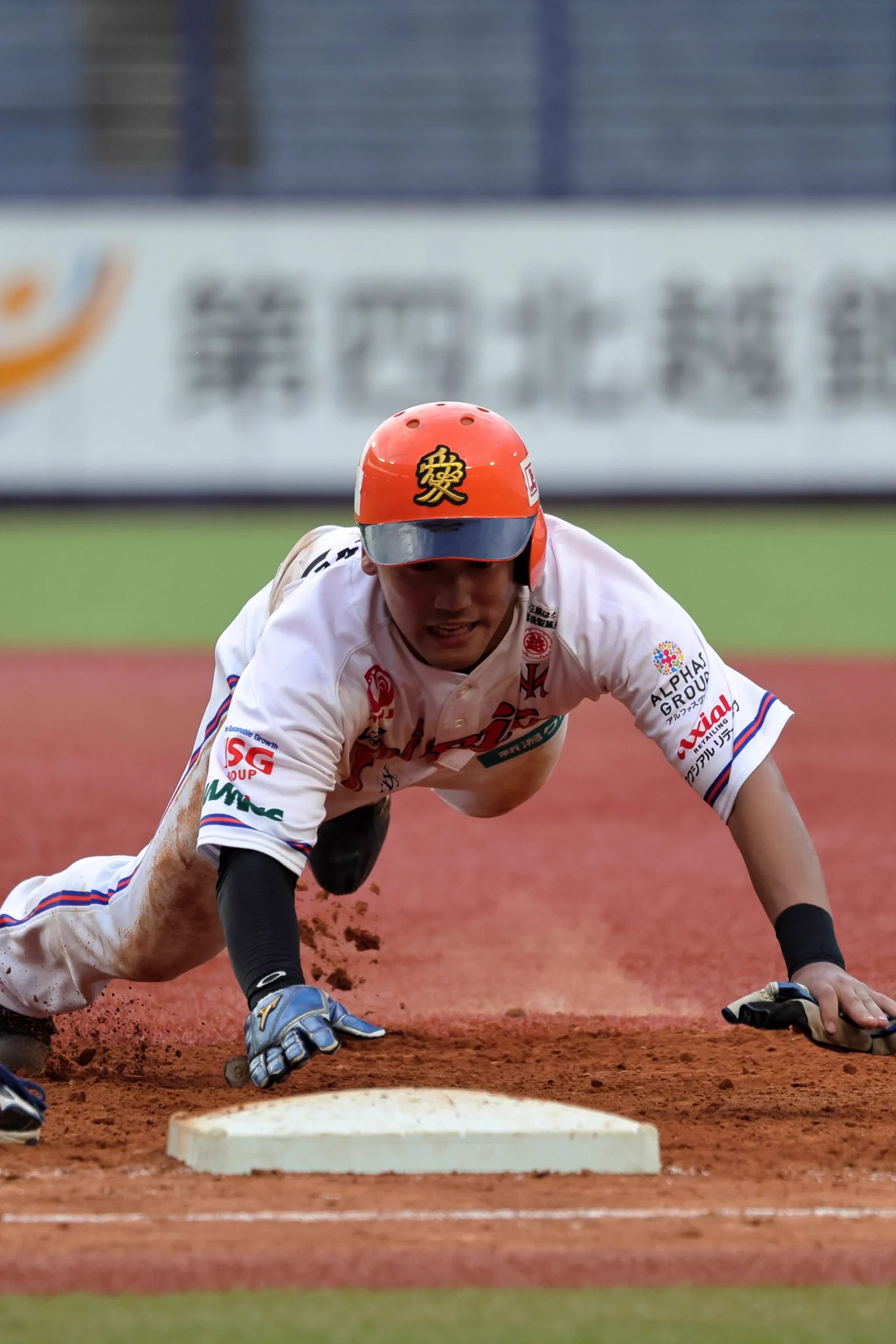活動歴および当時の関連ビジュアル記録