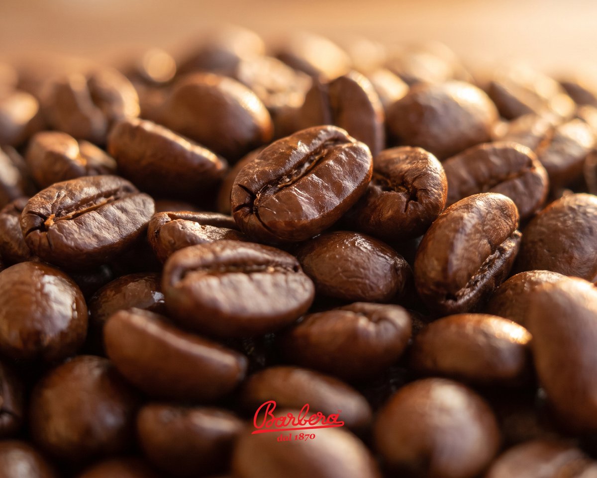 Barbera_1870's tweet photo. The Unbroken Chain of Master Roasters
 
Machines can read temperatures, but they can't feel the roast

Our master roasters undergo years of apprenticeship to learn the sight, crackle, and aroma of beans reaching perfection.

At #Barbera_1870, human instinct still reigns supreme👁️