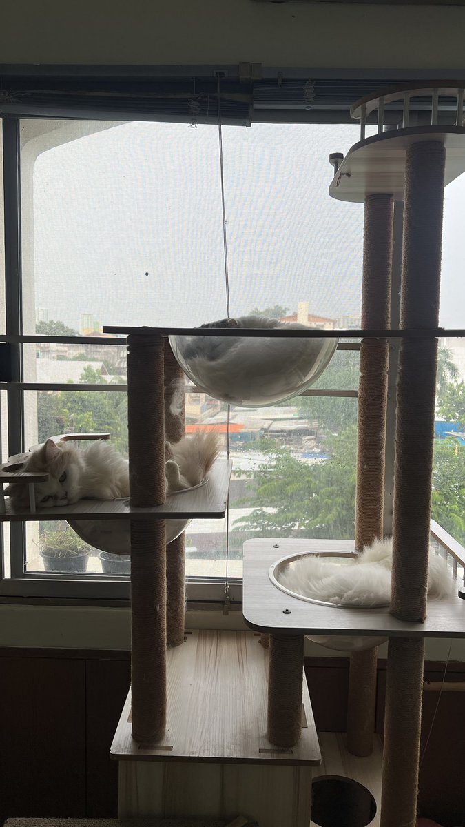 awwwfluffy's tweet photo. โครงการคนละหลุม https://t.co/6hXCPFwtWL