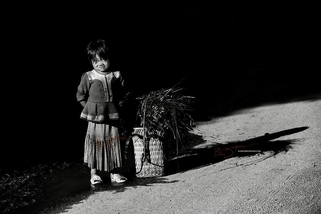 Arsomar_phil's tweet photo. In Vietnam’s highlands, everyday life becomes extraordinary. A young girl, a traditional basket, and a sunlit mountain road reveal the quiet soul of the country. Wander beyond the cities and discover Vietnam’s unfiltered beauty. https://t.co/NNcCLvHLrB