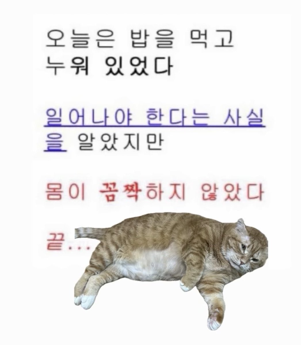 kimnaembee's tweet photo. https://t.co/6ZhvlxrtGF