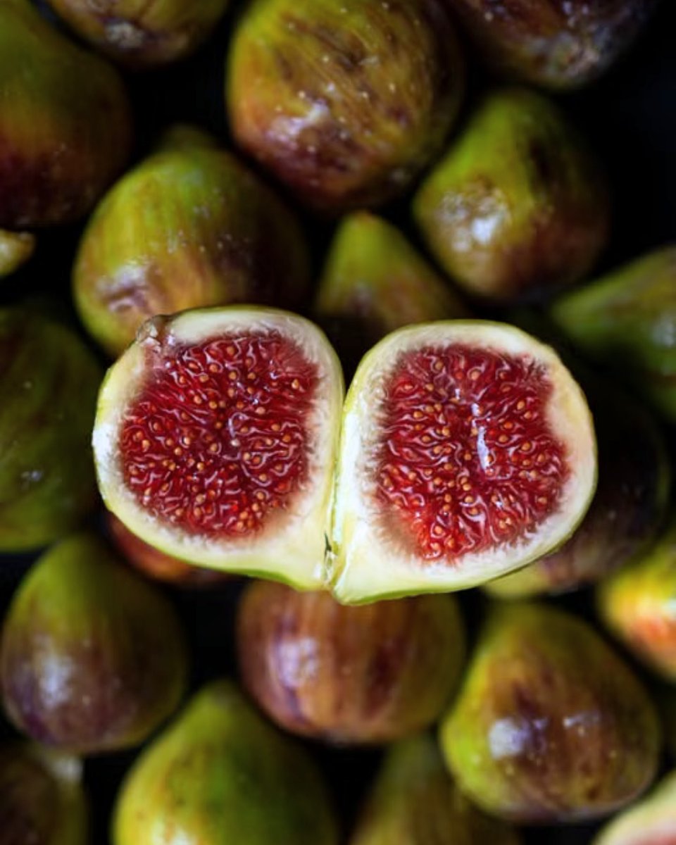 KrdSema's tweet photo. Fig evokes summer shade: sun-warmed leaves, milky sap, and ripe fruit nearby. In Fig Tree, the whole tree comes alive—leafy, fresh, softly milky, and familiar—brightened by citrus, grounded in woods, and softened with musk. https://t.co/yzlPMagvib