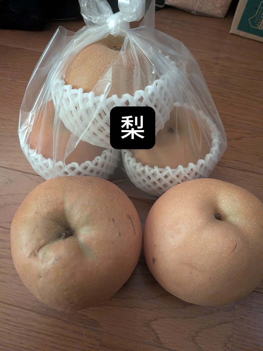 tottyanns's tweet photo. 有名な梨農家＆投資家を兼業してる方の美味しい梨です^_^ https://t.co/4KptZg4oTq