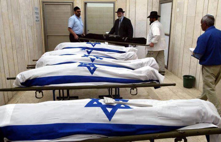 MHSangtarash's tweet photo. Israel’s military reports that 2,347 Israelis have been killed across multiple war fronts since the October 7, 2023, Hamas attack. Of these, 1,318 were military and intelligence personnel. A further 87,286 Israelis have been wounded or injured. https://t.co/5M4sMkvj8p