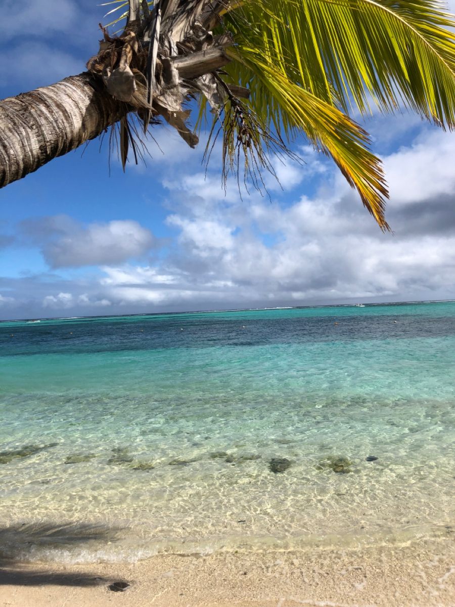 MauritiusGuide's tweet photo. Monday motivation in Mauritius 😍 https://t.co/sjWaFxFSxp